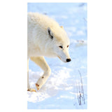 Maxbell Wolf 5D Diamond Painting DIY Embroidery Cross Stitch Needlework Craft White