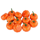 Maxbell Artificial Pumpkin Fall Foam Crafts Halloween Christmas Autumn Holiday Decor 12Pcs 5.5cm