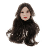 Maxbell 1/6 Scale Female Figure Head Sculpt Beauty Charming Girl Doll Head Brown