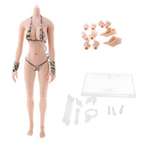 Max 1:6 Flexible Large Bust Female Seamless Body Dismantle Foot General Color