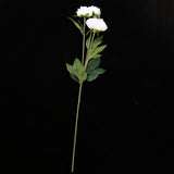 Maxbell Artificial Silk Peony Flower DIY Bouquet Wedding Home Decoration White