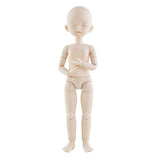 Maxbell 1/6 Jointed Doll Body with Head Parts for BJD Doll Accessories