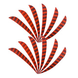 Max 12pcs 4inch Archery Feathers Fletches Right Wing Parabolic Cut Shape Orange