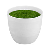 Maxbell Artificial Potted Plant Decoration Ornament Bonsai Office Home Outdoor S