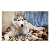 Maxbell 1 Set DIY Diamond Picture with Crystal Painting Kit Hand Craft Dog and Cat