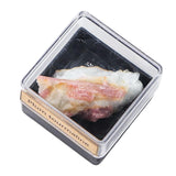 Maxbell Irregular Shape Rough Stone Science Mineral Rock Specimens for Desk Adult Plum Tourmaline