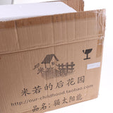 Lovely Solar Energy Light Cat Statue Animal Model Home Garden Lawn Decoration Collections Gift - Aladdin Shoppers