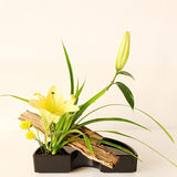 Max 1 Pair Half Moon Japanese Ikebana Suiban Vase Pot Bonsai Flower Tray Black - Aladdin Shoppers