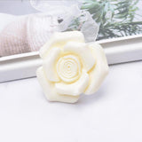 Max 1 Pair Rose Flower Magnetic Curtain Tiebacks Rope Strap Holdback Beige - Aladdin Shoppers