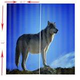 Max 2 Panel Set Digital Printing Curtains 3D Animals Standing Wolf-85x200cm - Aladdin Shoppers
