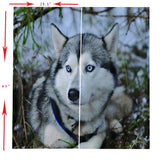 Max 2 Panel Set Digital Printing Curtains 3D Animals Wolf-75x166cm - Aladdin Shoppers