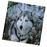 Max 2 Panel Set Digital Printing Curtains 3D Animals Wolf-85x200cm - Aladdin Shoppers