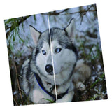 Max 2 Panel Set Digital Printing Curtains 3D Animals Wolf-85x200cm - Aladdin Shoppers
