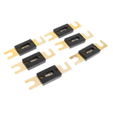 Max 6 Pieces Car Audio Electrical Flat ANL Blade Fuse 80A 125A 160A Gold Plated - Aladdin Shoppers