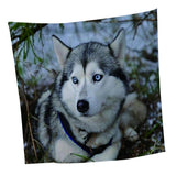 Max Animal Tapestry Wall Hanging for Bedroom Living Room Backdrop Decorations 7 - Aladdin Shoppers