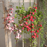 Max Artificial Silk Plastic Plum Bouquet Blossom Branch DIY Home Decor Rose Red - Aladdin Shoppers