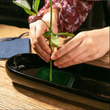 Max Assorted Ikebana Kenzan Flower Frog Arrangment Green 102mm (4 inch) Dia - Aladdin Shoppers