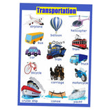 Max Kids Toddlers earning Poster Preschool Educational Wall Posters Transport_1 - Aladdin Shoppers