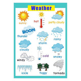 Max Kids Toddlers earning Poster Preschool Educational Wall Posters Weather_1 - Aladdin Shoppers
