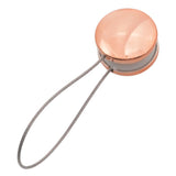 Max Magnetic Curtain Tiebacks Tie Backs Buckle Clips Holdbacks Home Rose Gold - Aladdin Shoppers