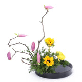 Max Plastic Round Ikebana Suiban Vase Pot Bonsai Flower Container Black 28cm - Aladdin Shoppers
