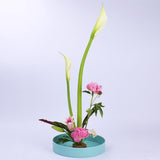 Max Plastic Round Ikebana Suiban Vase Pot Bonsai Flower Container Green 33cm - Aladdin Shoppers