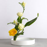 Max Plastic Round Ikebana Suiban Vase Pot Bonsai Flower Container White 28cm - Aladdin Shoppers