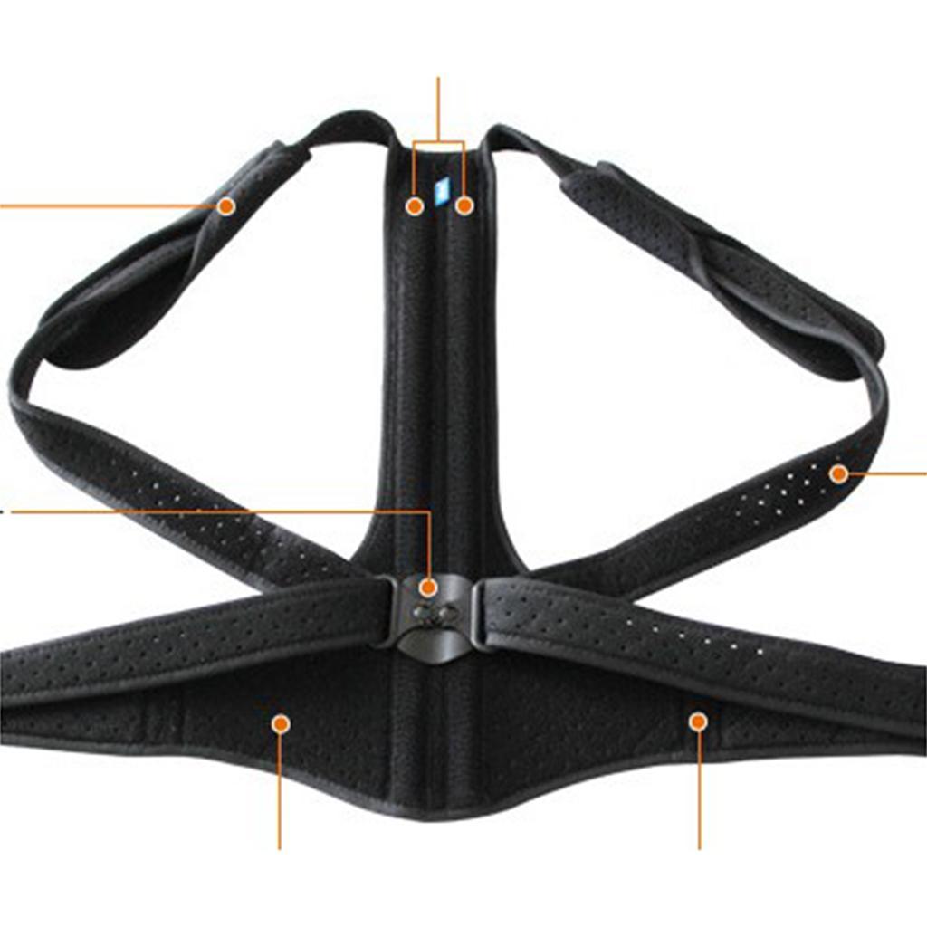 Max Posture Corrector Back Shoulder Support Brace Belt Spinal Humpback Brace S - Aladdin Shoppers