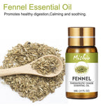 Max Pure Natural Plant Extract Massage Essential Oils Aromatherapy Fennel - Aladdin Shoppers