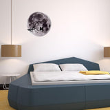 Max PVC Globe Earth Forest Animal Wallpaper Sticker Mural Panel Glow in Dark Grey - Aladdin Shoppers