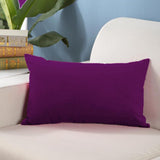 Max Soft Velvet Solid Color Throw Pillow Covers Cushion Case Dark Purple - Aladdin Shoppers