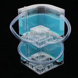 Max Student Science Magnifier Creative Toy Ant Home Duplex Villa Ligth Blue - Aladdin Shoppers