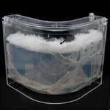 Max Student Science Magnifier Creative Toy Ant Home Home Transparent - Aladdin Shoppers