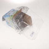 Max Student Science Magnifier Creative Toy Ant Home Home Transparent - Aladdin Shoppers