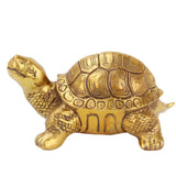 Max Traditional Chinese Feng Shui Lucky Money Blessed Mascot Figurines Turtle - Aladdin Shoppers
