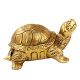 Max Traditional Chinese Feng Shui Lucky Money Blessed Mascot Figurines Turtle - Aladdin Shoppers