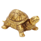 Max Traditional Chinese Feng Shui Lucky Money Blessed Mascot Figurines Turtle - Aladdin Shoppers