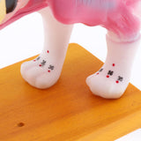 Maxbell 1:1 Cat Acupuncture Anatomical Model With 36 Acupuncture Points Professional Teaching Tool Science Educational - Aladdin Shoppers
