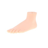 Maxbell 1:1 Lifesize Human Normal Foot Model with Ligaments Bones Muscles Anatomical Model Kit - Aladdin Shoppers