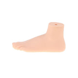 Maxbell 1:1 Lifesize Human Normal Foot Model with Ligaments Bones Muscles Anatomical Model Kit - Aladdin Shoppers