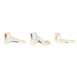 Maxbell 1:1 Lifesize Human Normal Foot Model with Ligaments Bones Muscles Anatomical Model Kit - Aladdin Shoppers