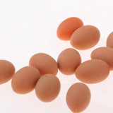 Maxbell 1:12 Dollhouse Miniature Chicken Egg 20pcs Kitchen Daining Room Decoration - Aladdin Shoppers