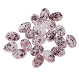 Maxbell 1:12 Dollhouse Miniature Quail Egg 20pcs Kitchen Daining Room Decoration - Aladdin Shoppers