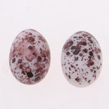 Maxbell 1:12 Dollhouse Miniature Quail Egg 20pcs Kitchen Daining Room Decoration - Aladdin Shoppers