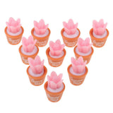 Maxbell 10pcs 1/6 Dollhouse Miniature Cactus DIY Fairy Garden Decoration Crafts Pink - Aladdin Shoppers