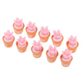 Maxbell 10pcs 1/6 Dollhouse Miniature Cactus DIY Fairy Garden Decoration Crafts Pink - Aladdin Shoppers