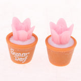 Maxbell 10pcs 1/6 Dollhouse Miniature Cactus DIY Fairy Garden Decoration Crafts Pink - Aladdin Shoppers