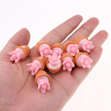 Maxbell 10pcs 1/6 Dollhouse Miniature Cactus DIY Fairy Garden Decoration Crafts Pink - Aladdin Shoppers