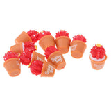 Maxbell 10pcs 1/6 Dollhouse Miniature Cactus DIY Fairy Garden Decoration Crafts Red - Aladdin Shoppers