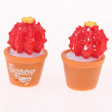 Maxbell 10pcs 1/6 Dollhouse Miniature Cactus DIY Fairy Garden Decoration Crafts Red - Aladdin Shoppers